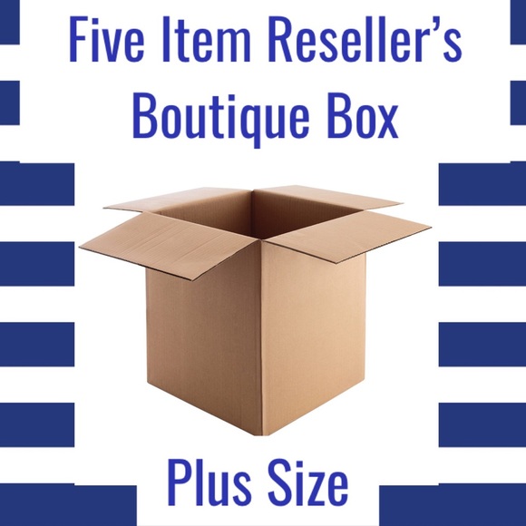 Five Item Reseller’s Boutique Box (Plus Size) - Picture 1 of 1